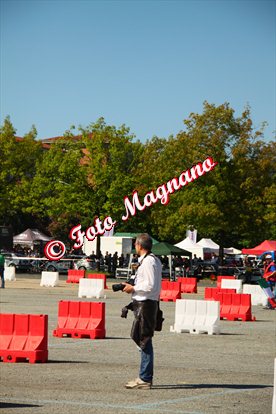 IMG_6972.jpg